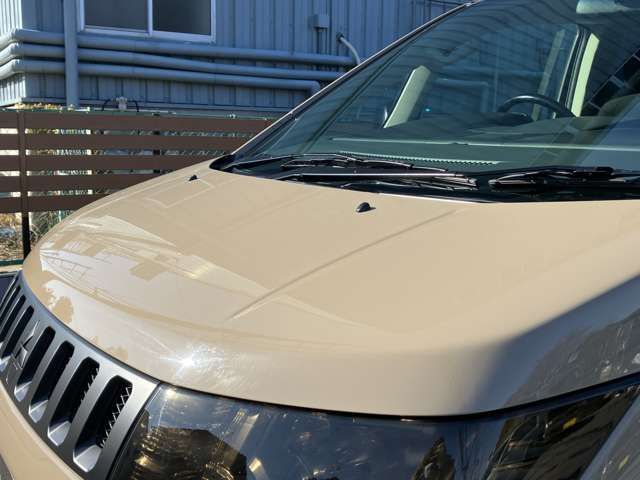 Mitsubishi DELICA D5 2010-07 181571-16