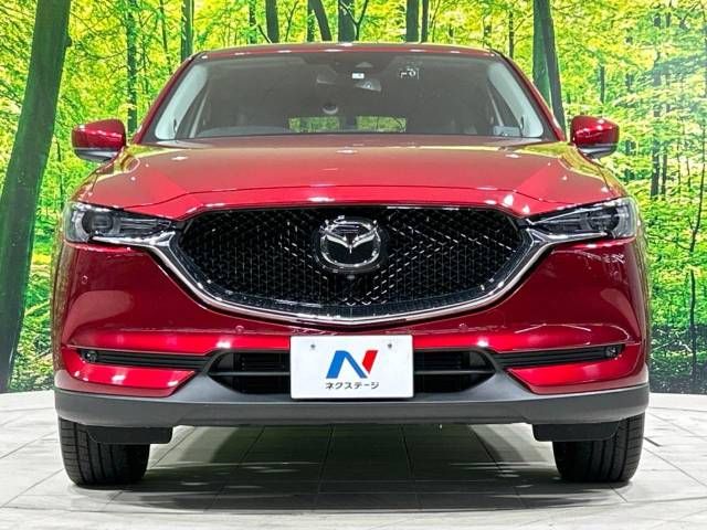 Mazda CX-5 2019-04 15802-14