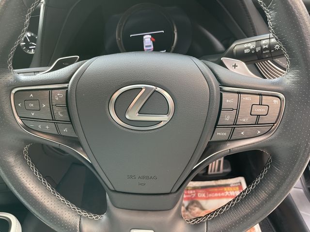 Lexus LS 2018-01 4935-23