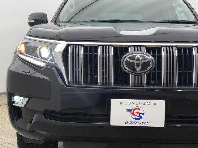 Toyota PRADO 2018-05 21873-19