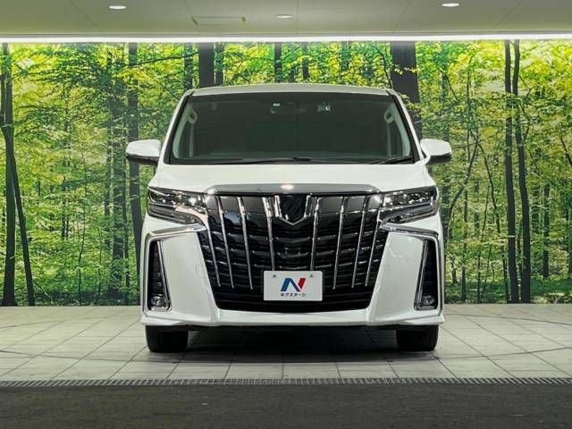 Toyota ALPHARD 2021-07 181218-14