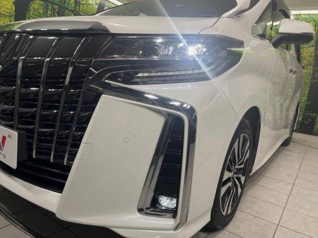 Toyota ALPHARD 2021-07 181218-12