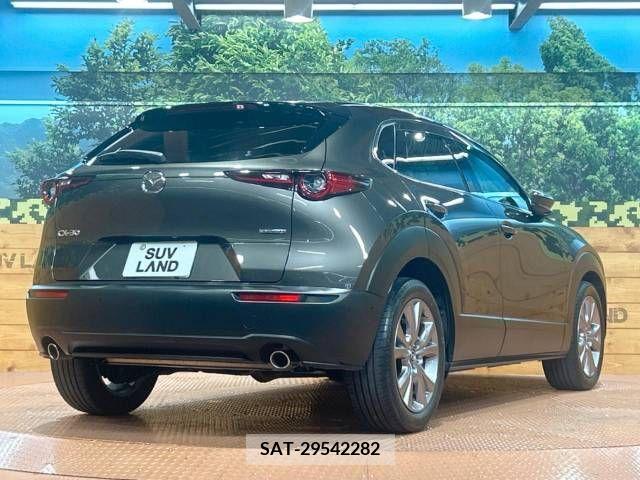 Mazda CX-30 2019-10 345935-17