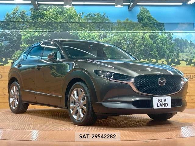 Mazda CX-30 2019-10 345935-16