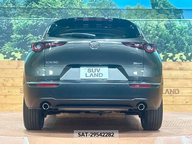 Mazda CX-30 2019-10 345935-15