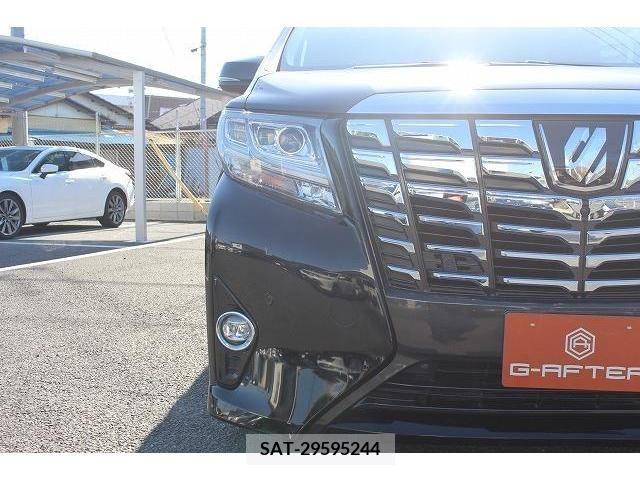 Toyota ALPHARD 2016-06 209028-11