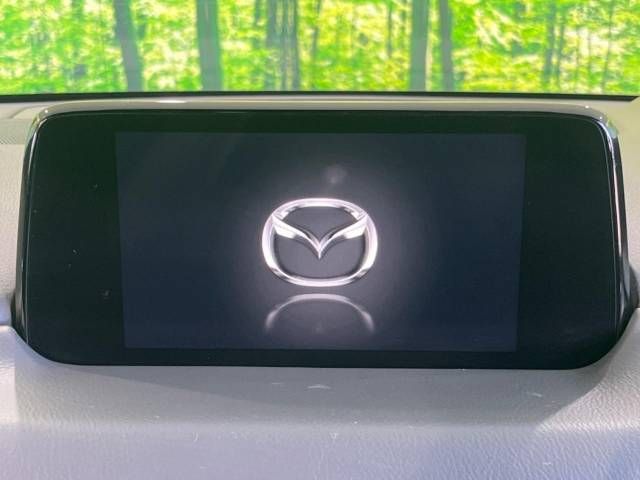 Mazda CX-8 2018-02 193567-2
