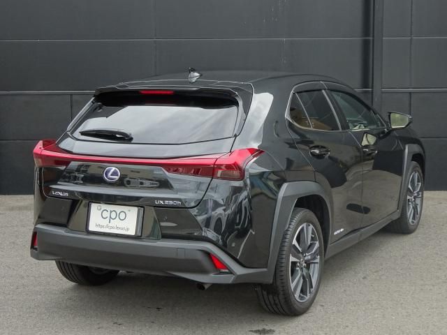 Lexus UX 2021-09 5016-3