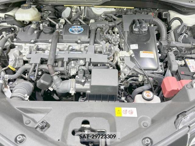 Toyota C-HR 2018-07 396054-18