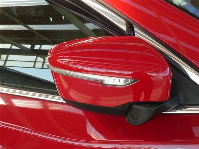 Nissan X-TRAIL 2016-08 24939-29