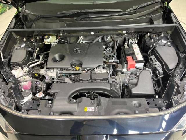 Toyota RAV4 2019-09 21184-18