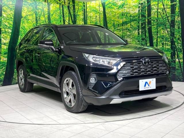 Toyota RAV4 2019-09 21184-16