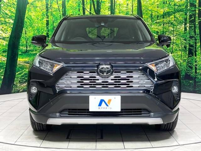 Toyota RAV4 2019-09 21184-14