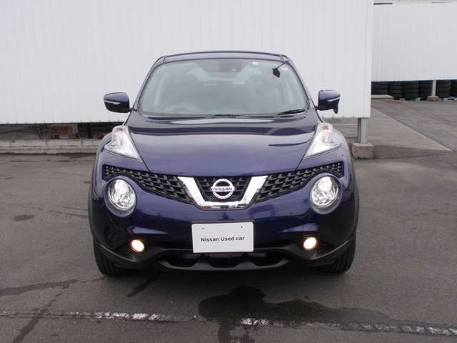 Nissan JUKE 2019-01 8001-11