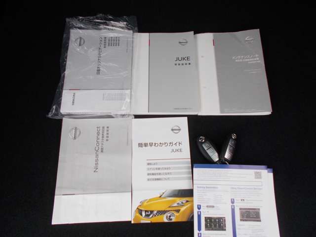 Nissan JUKE 2019-01 8001-19