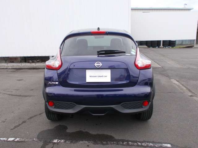 Nissan JUKE 2019-01 8001-13
