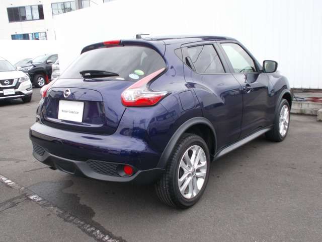 Nissan JUKE 2019-01 8001-2
