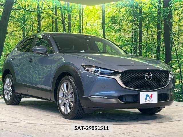 Mazda CX-30 2022-03 265617-16