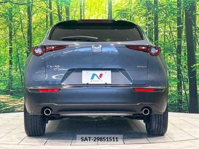Mazda CX-30 2022-03 265617-15