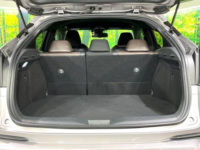 Toyota C-HR 2017-04 14952-10