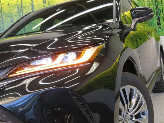Toyota HARRIER 2021-07 17161-14