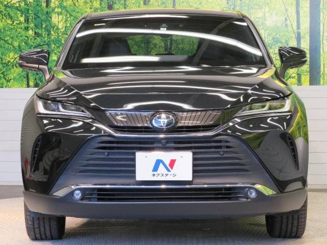 Toyota HARRIER 2021-07 17161-16