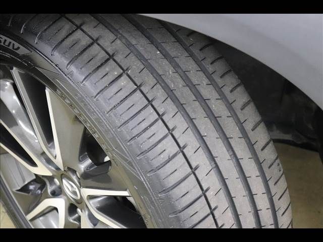 Mazda CX-3 2016-07 22418-24