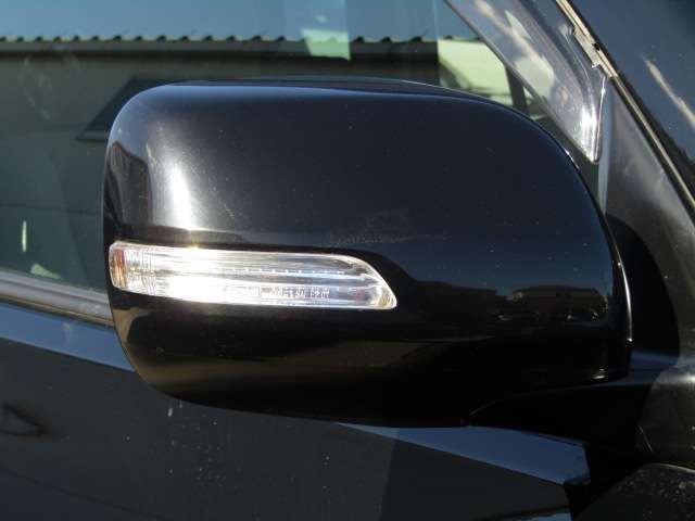 Toyota PRADO 2010-09 22446-3
