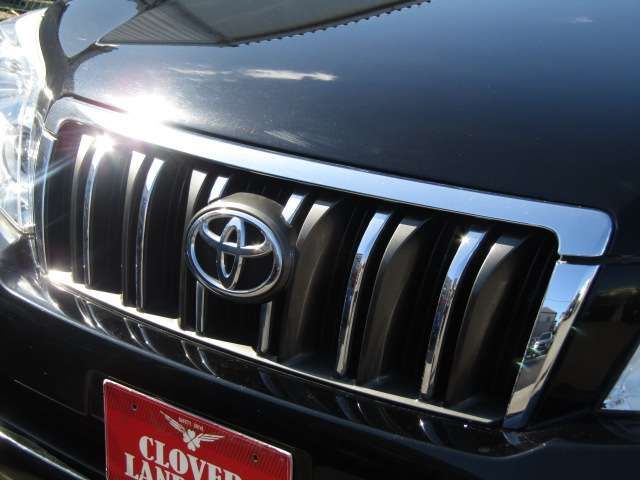 Toyota PRADO 2010-09 22446-7