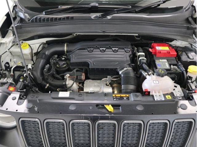 Jeep RENEGADE 2021-02 13455-22