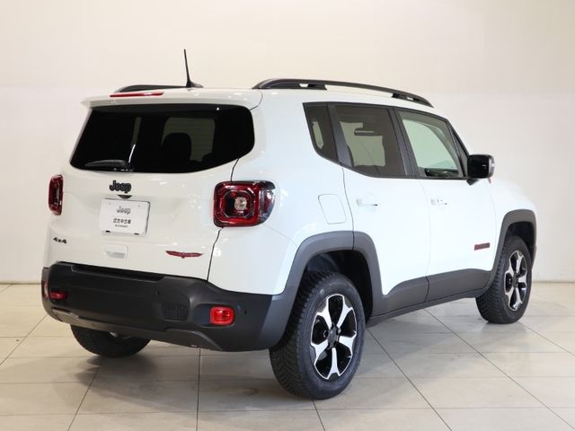 Jeep RENEGADE 2021-02 13455-7