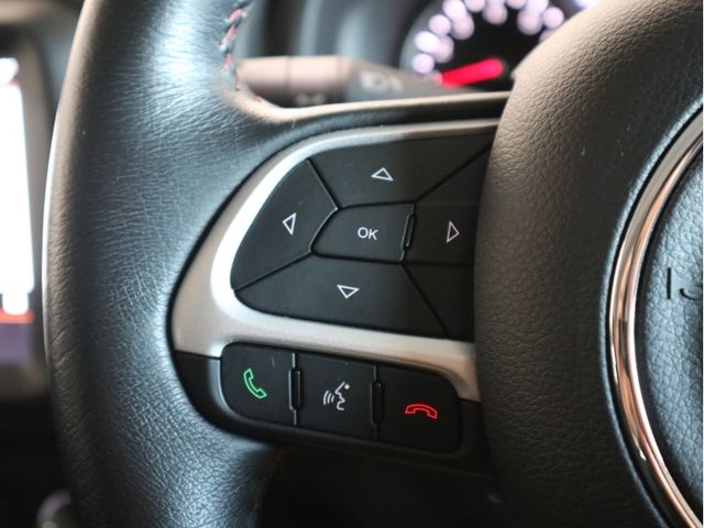 Jeep RENEGADE 2021-02 13455-18