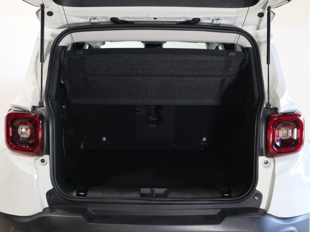 Jeep RENEGADE 2021-02 13455-21