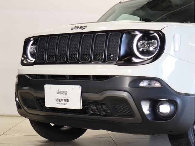 Jeep RENEGADE 2021-02 13455-5