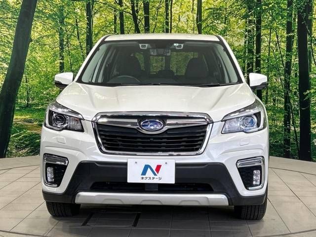Subaru FORESTER 2019-02 17576-14
