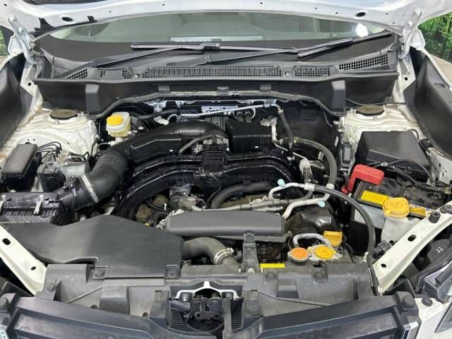 Subaru FORESTER 2019-02 17576-18