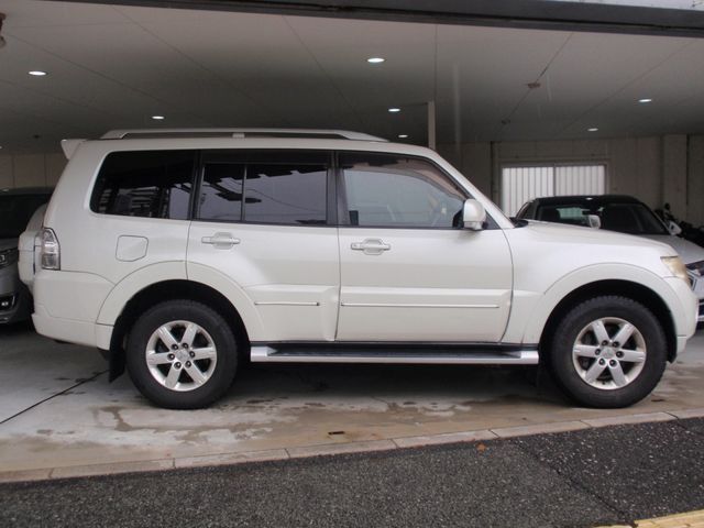 Mitsubishi PAJERO 2010-11 5163-9