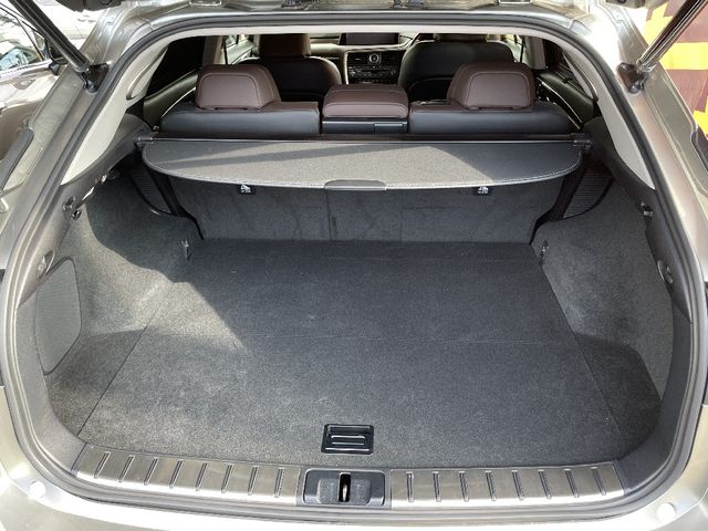 Lexus RX 2018-07 21740-6