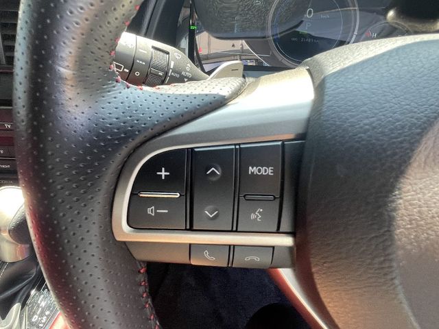 Lexus RX 2021-02 24055-19