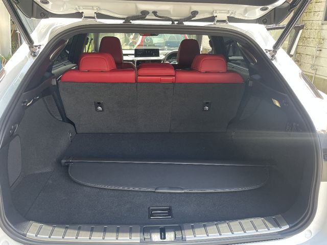 Lexus RX 2021-02 24055-9