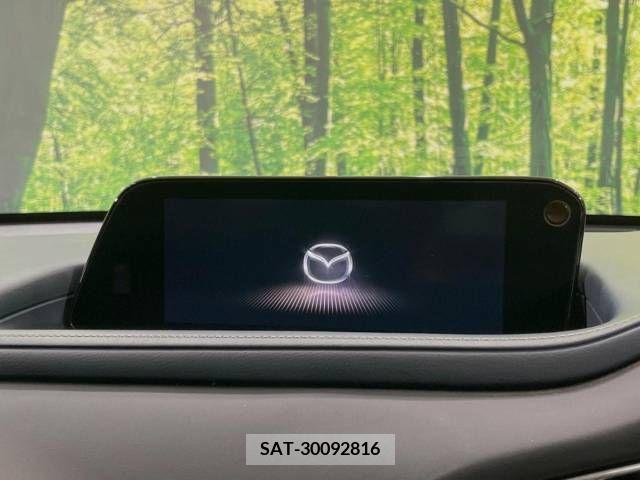 Mazda CX-30 2020-08 209672-4