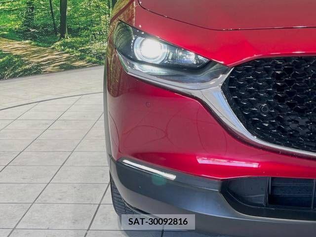 Mazda CX-30 2020-08 209672-12