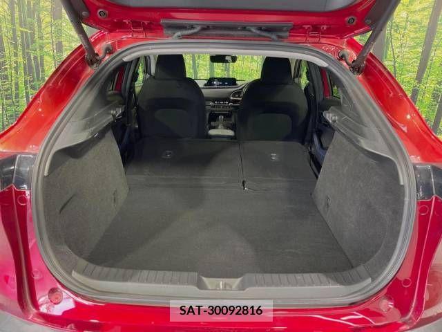 Mazda CX-30 2020-08 209672-11