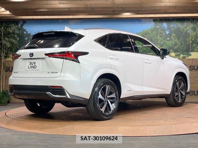 Lexus NX 2021-06 275687-17