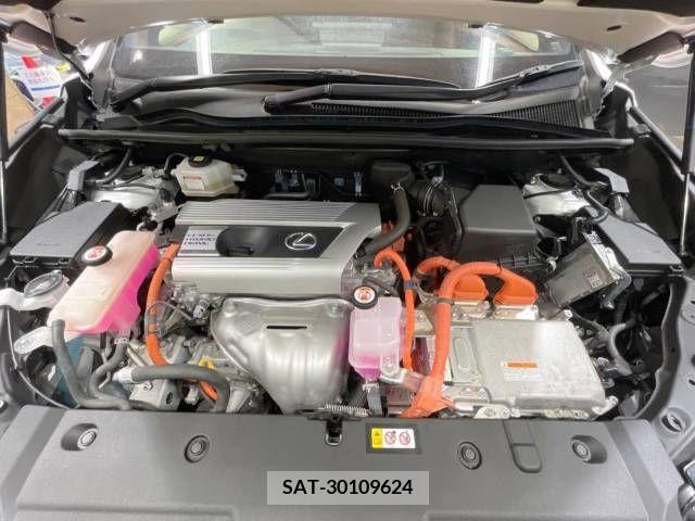 Lexus NX 2021-06 275687-18