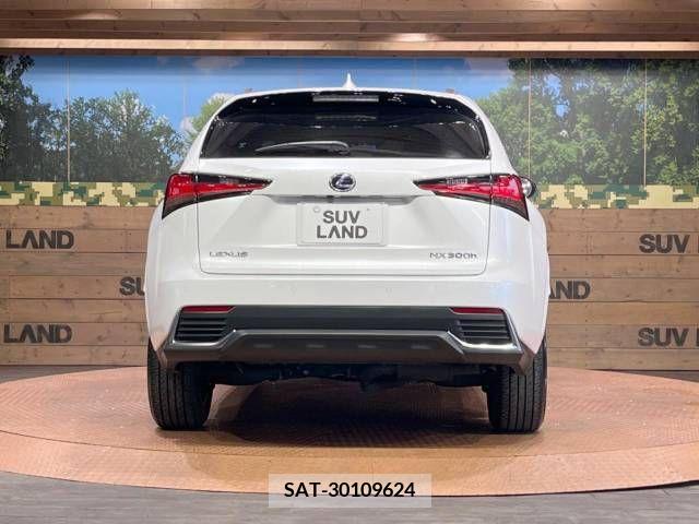 Lexus NX 2021-06 275687-15