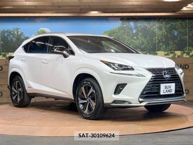 Lexus NX 2021-06 275687-16