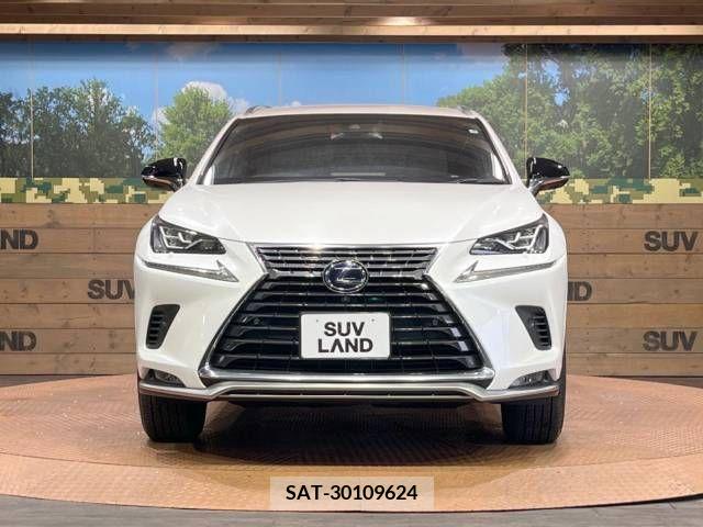 Lexus NX 2021-06 275687-14