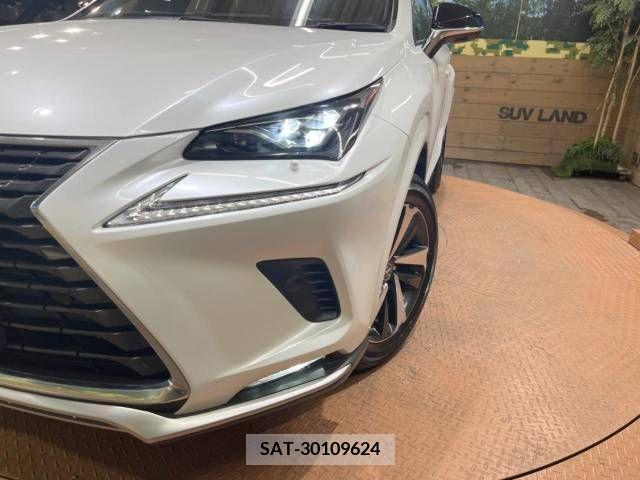 Lexus NX 2021-06 275687-12