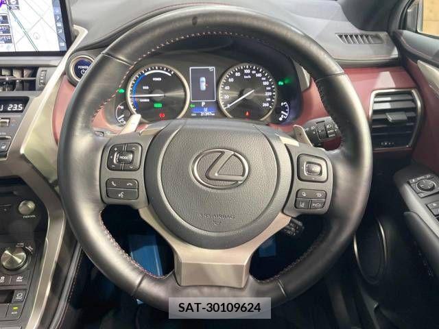 Lexus NX 2021-06 275687-11